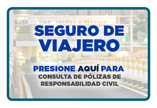 Consulta de polizas de responsabilidad civil para viajero